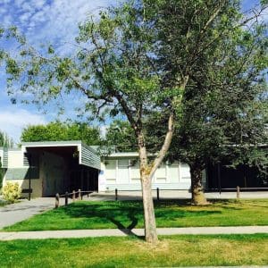 Carnarvon Elementary| TENNIS/ PICKLEBALL After-School Camp | May 20 - 30 , 2025